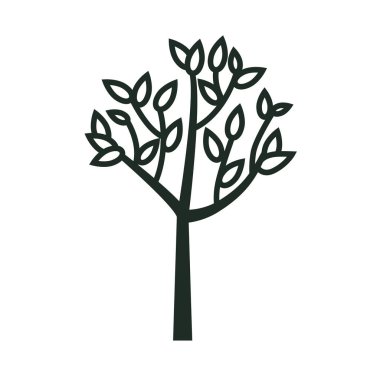 Ağaç doğa ekoloji