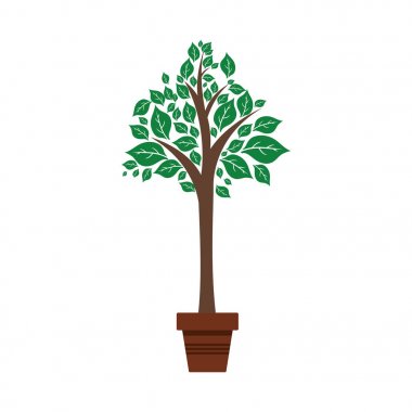 Doğal bitki ekoloji