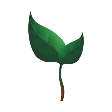 Yaprakları doğal ekoloji