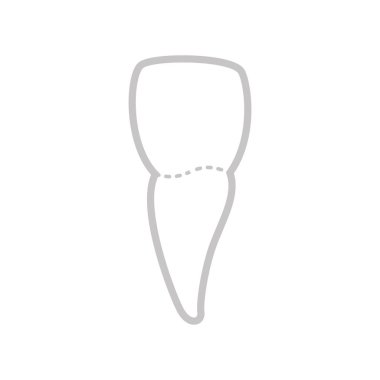 tıbbi Diş Bakımı