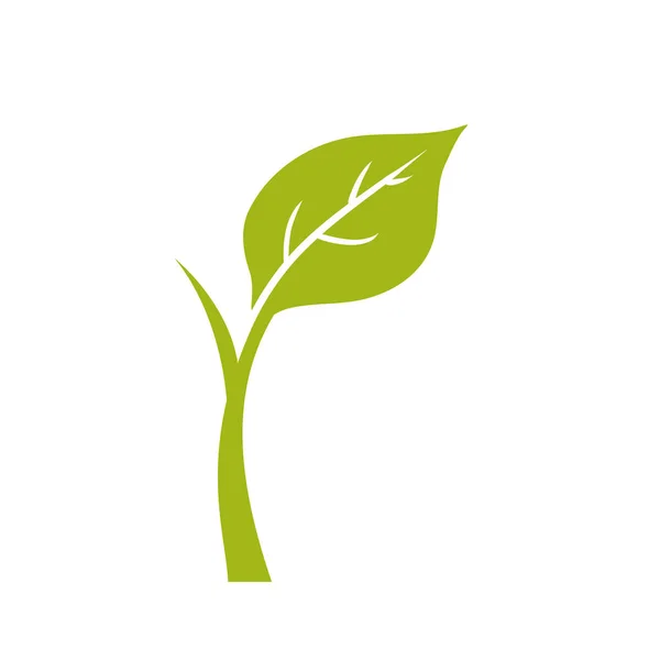Természetes növényi ökológia — Stock Vector
