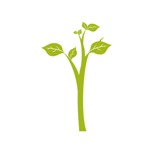 Ecología vegetal natural — Vector de stock