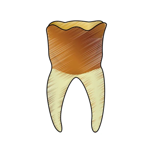 歯科医療 — ストックベクタ