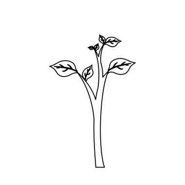 Doğal bitki ekoloji