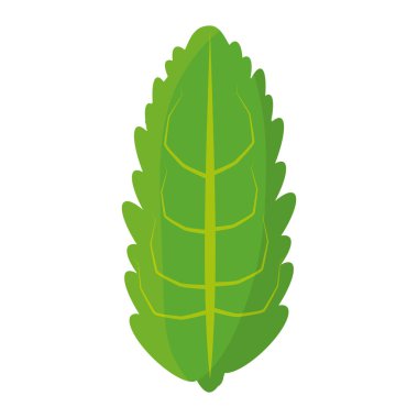 Yaprak çevre sembol simge vektör çizim grafik tasarım