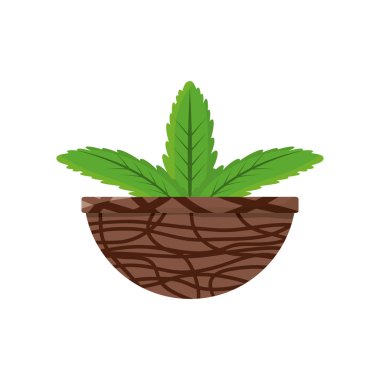pot simgesi vektör illüstrasyon grafik tasarımında bitki