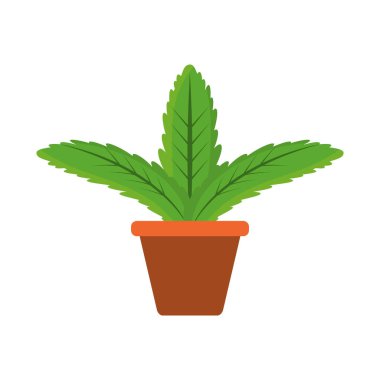 pot simgesi vektör illüstrasyon grafik tasarımında bitki