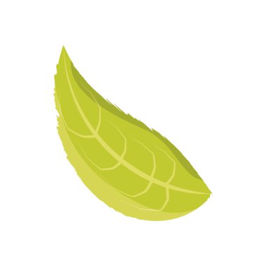 Yaprak çevre sembol simge vektör çizim grafik tasarım