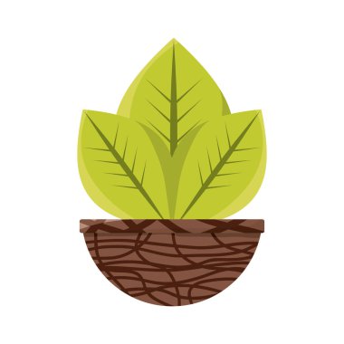 pot simgesi vektör illüstrasyon grafik tasarımında bitki