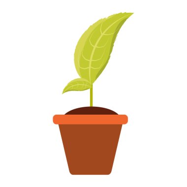 pot simgesi vektör illüstrasyon grafik tasarımında bitki