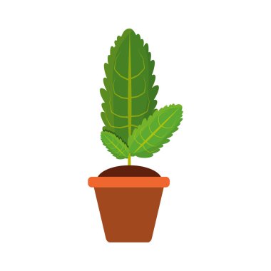 pot simgesi vektör illüstrasyon grafik tasarımında bitki