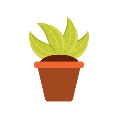 pot simgesi vektör illüstrasyon grafik tasarımında bitki