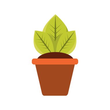 pot simgesi vektör illüstrasyon grafik tasarımında bitki