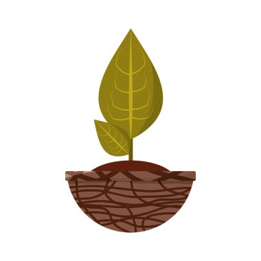 pot simgesi vektör illüstrasyon grafik tasarımında bitki