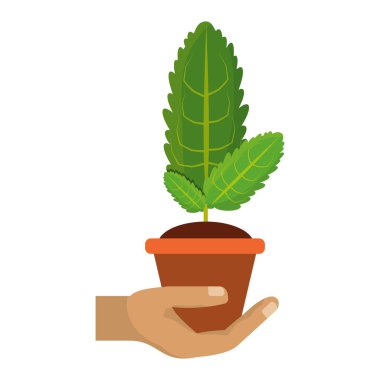 pot simgesi vektör illüstrasyon grafik tasarımında bitki