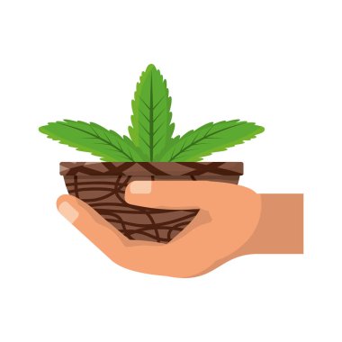 pot simgesi vektör illüstrasyon grafik tasarımında bitki