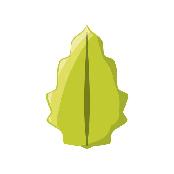 Blatt Eco Symbol Icon Vektor Illustration Grafik Design — Stockvektor