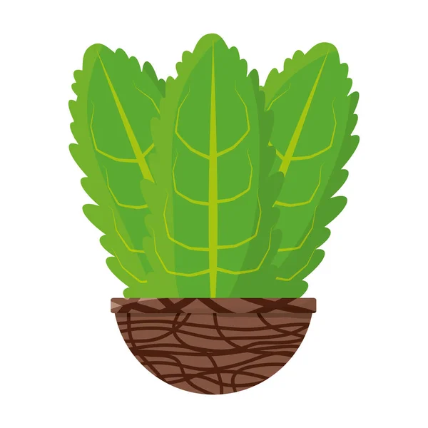 Plant Pot Icon Vector Illustration Graphic Design — Stock Vector