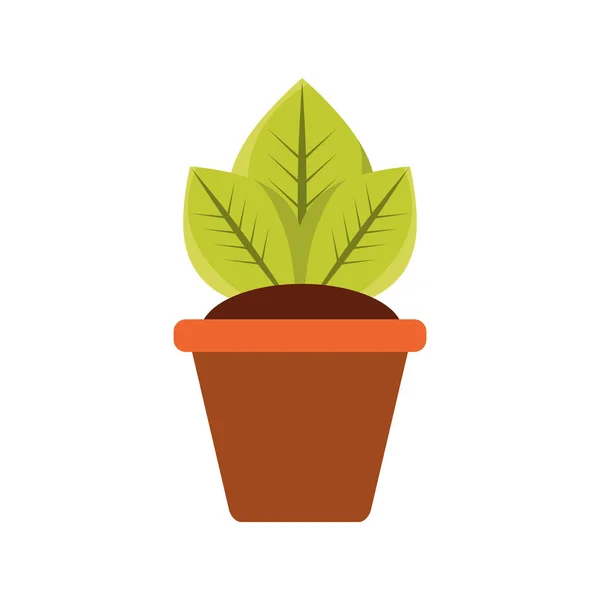 Planta Vaso Ícone Vetor Ilustração Design Gráfico — Vetor de Stock