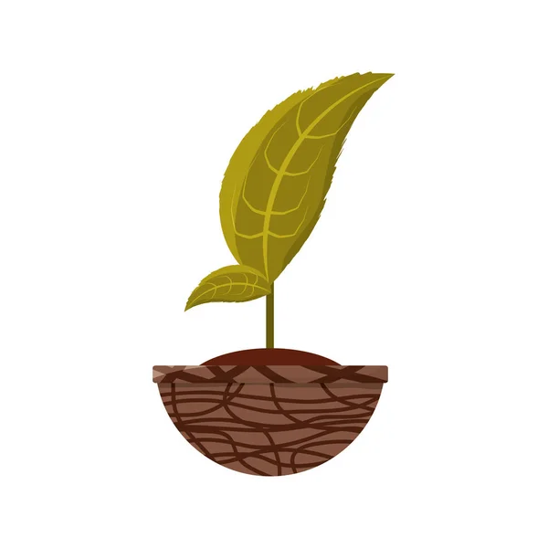 ポットアイコンベクトル図グラフィックデザインの植物 — ストックベクタ
