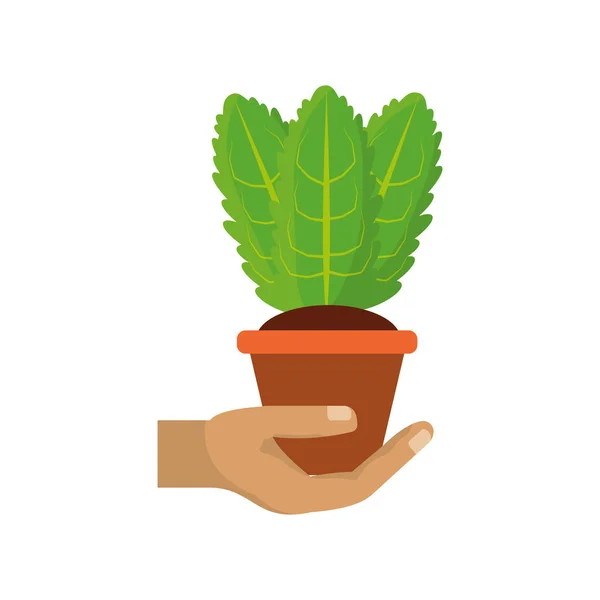 Plant Pot Pictogram Vector Illustratie Grafisch Ontwerp — Stockvector