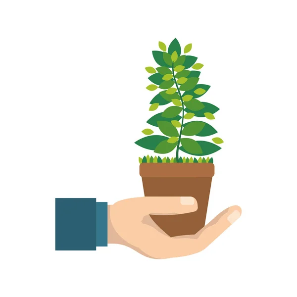 Растение Траве Иконка Векторной Иллюстрации Графический Дизайн — стоковый вектор