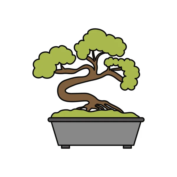 Bonsai Japanischer Baum Ikone Vektor Illustration Grafik Design — Stockvektor