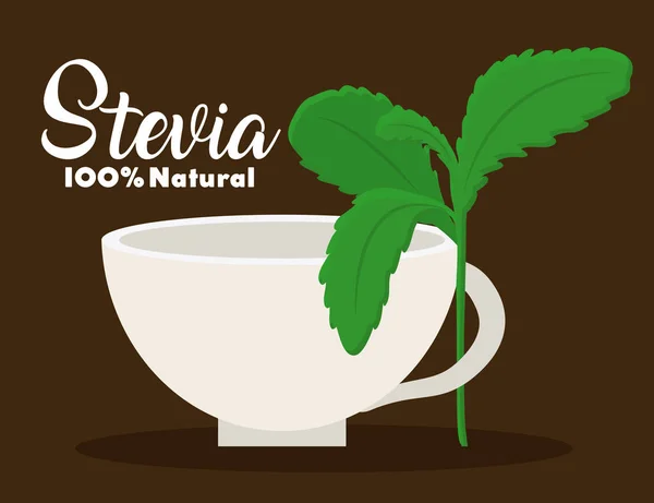 Diseño de concepto de Stevia — Vector de stock