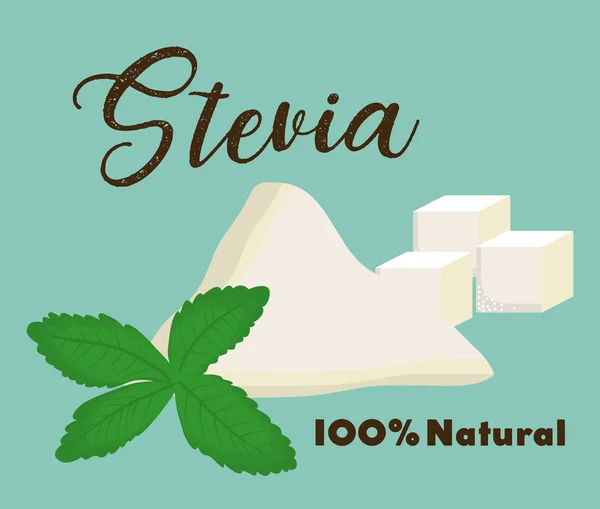 Stevia konceptdesign — Stock vektor