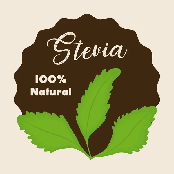 Stevia konceptdesign — Stock vektor