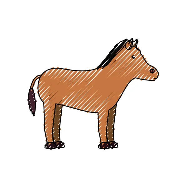Ilustração do Vetor de Cavalo — Vetor de Stock