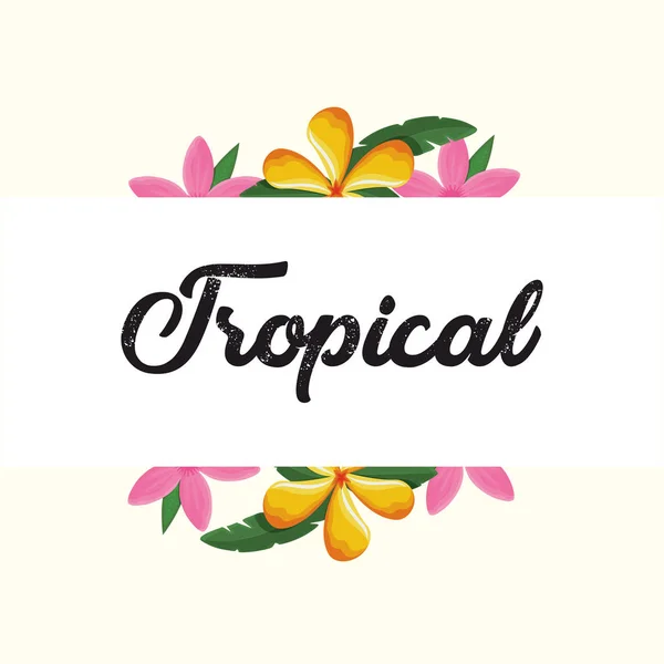 Diseño de flores tropicales — Vector de stock