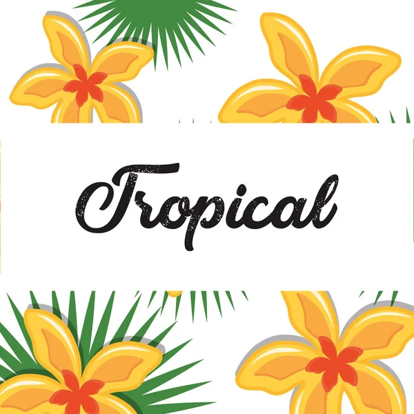 Diseño de flores tropicales — Vector de stock