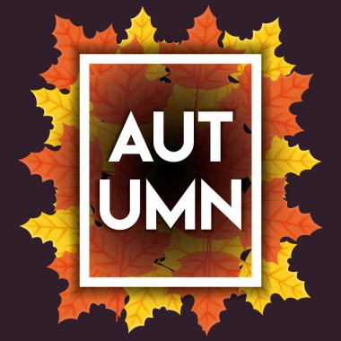 Sonbahar sezonu tasarım