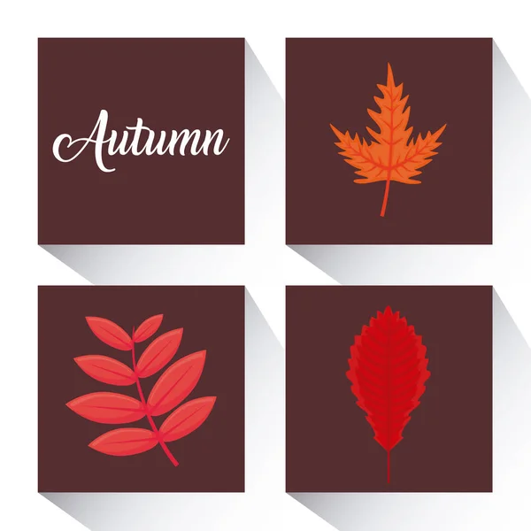 Outono temporada design — Vetor de Stock