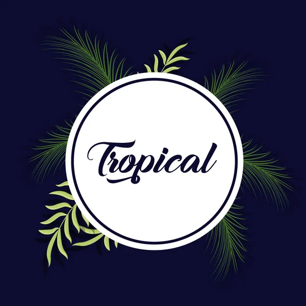 Banner de hojas tropicales de verano de moda — Vector de stock