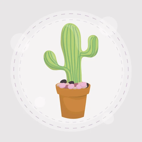 Kaktus i kruka design — Stock vektor