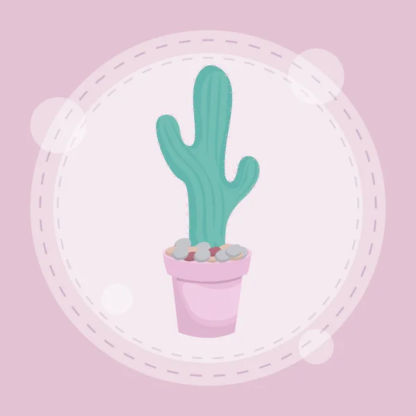 Cactus en diseño de maceta — Vector de stock