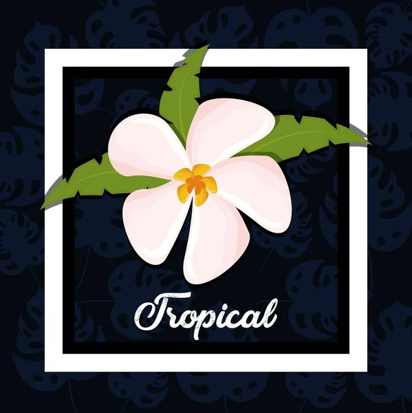 Hermosa flor tropical exótica — Vector de stock