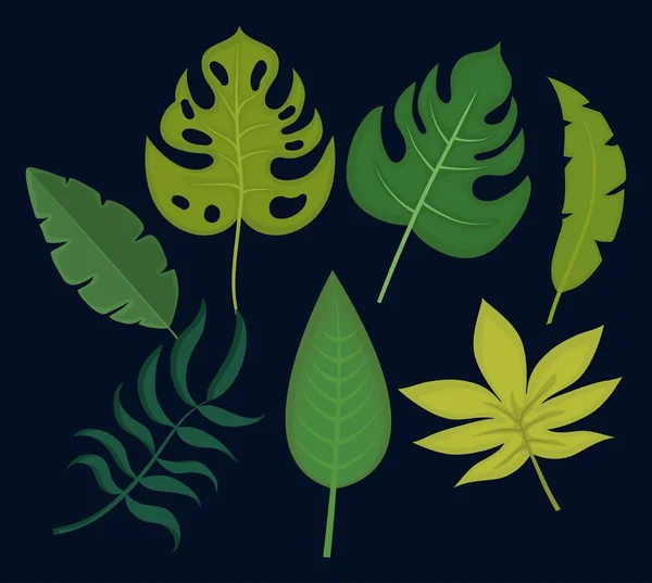 Conjunto de diseño de hojas tropicales y exóticas — Vector de stock