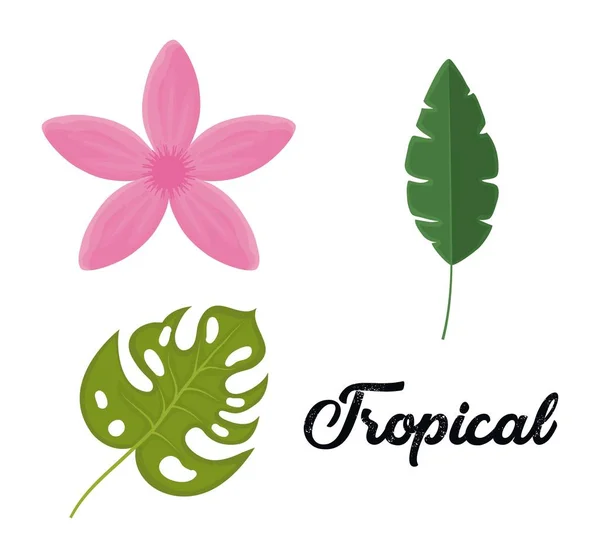 Conjunto de hojas tropicales y diseño de flores — Vector de stock