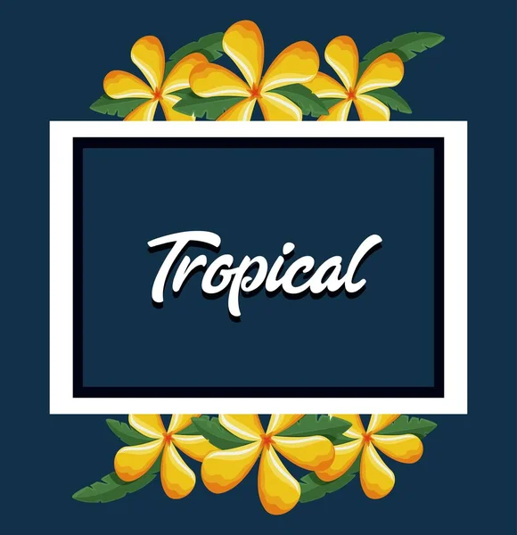 Flores tropicais fundo —  Vetores de Stock