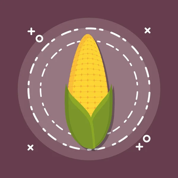 Süßer goldener Mais — Stockvektor