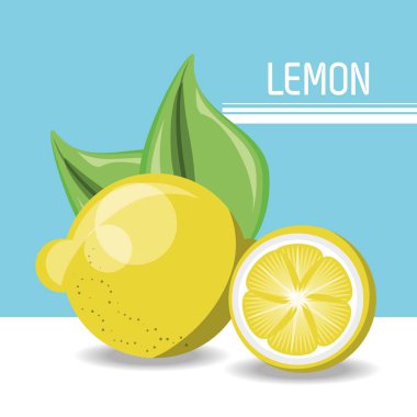 Sitrik meyve tasarım 