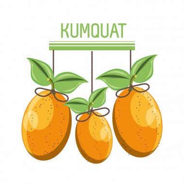 Sitrik meyve tasarım 