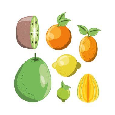 Sitrik meyve tasarım 