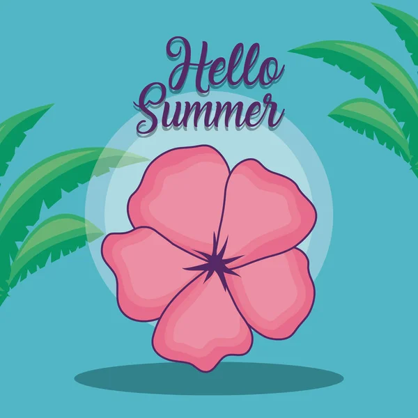 Hola diseño de verano — Archivo Imágenes Vectoriales
