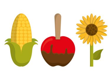 Festa junina tasarımı