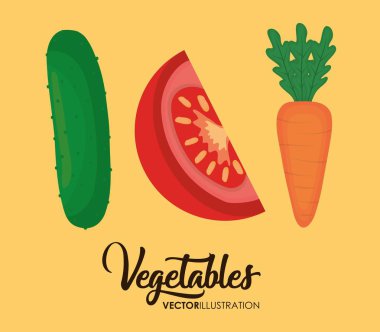 sağlıklı sebze tasarımı