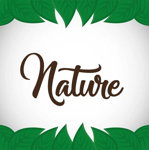 Nature et feuilles design — Image vectorielle